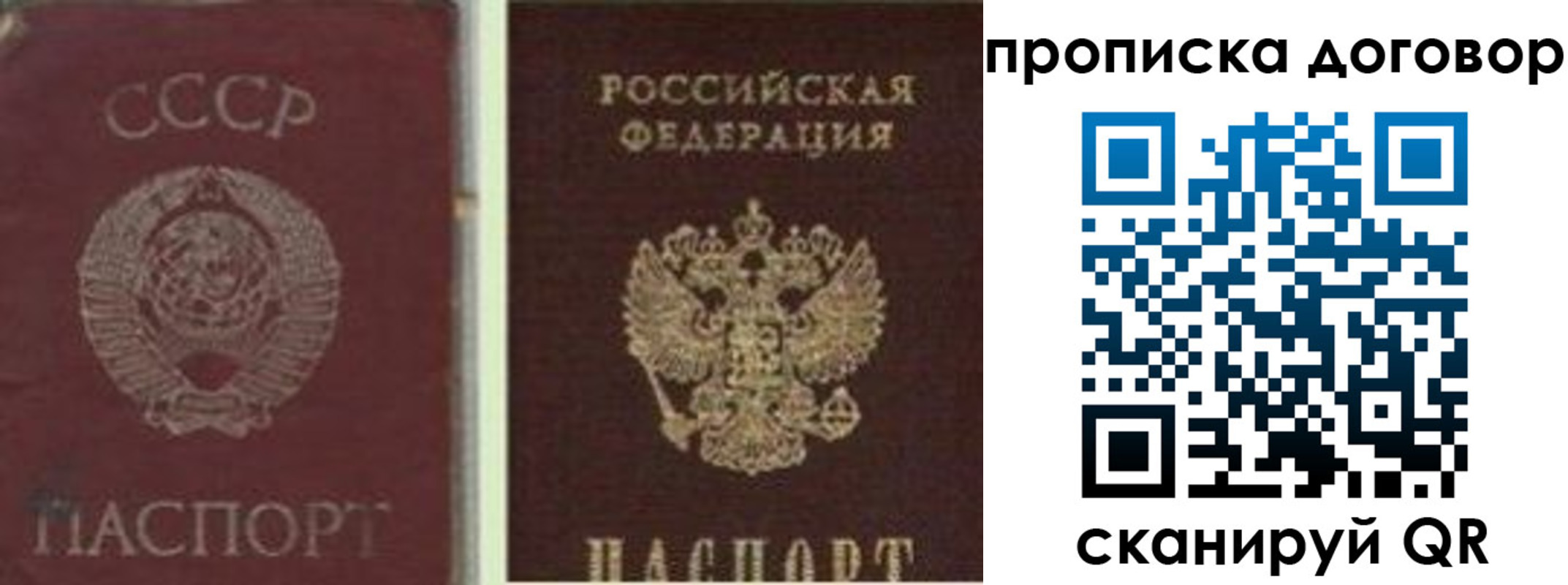 прописка гарантия в Первомайске